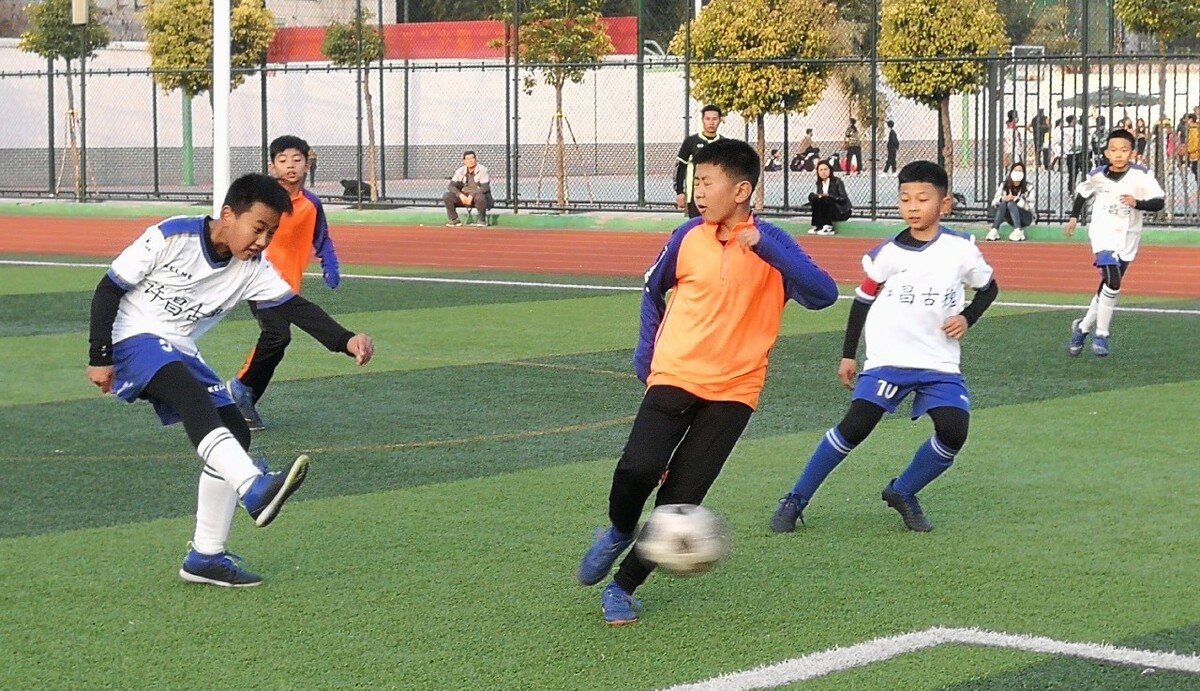 效力的鲁能 效力的鲁能